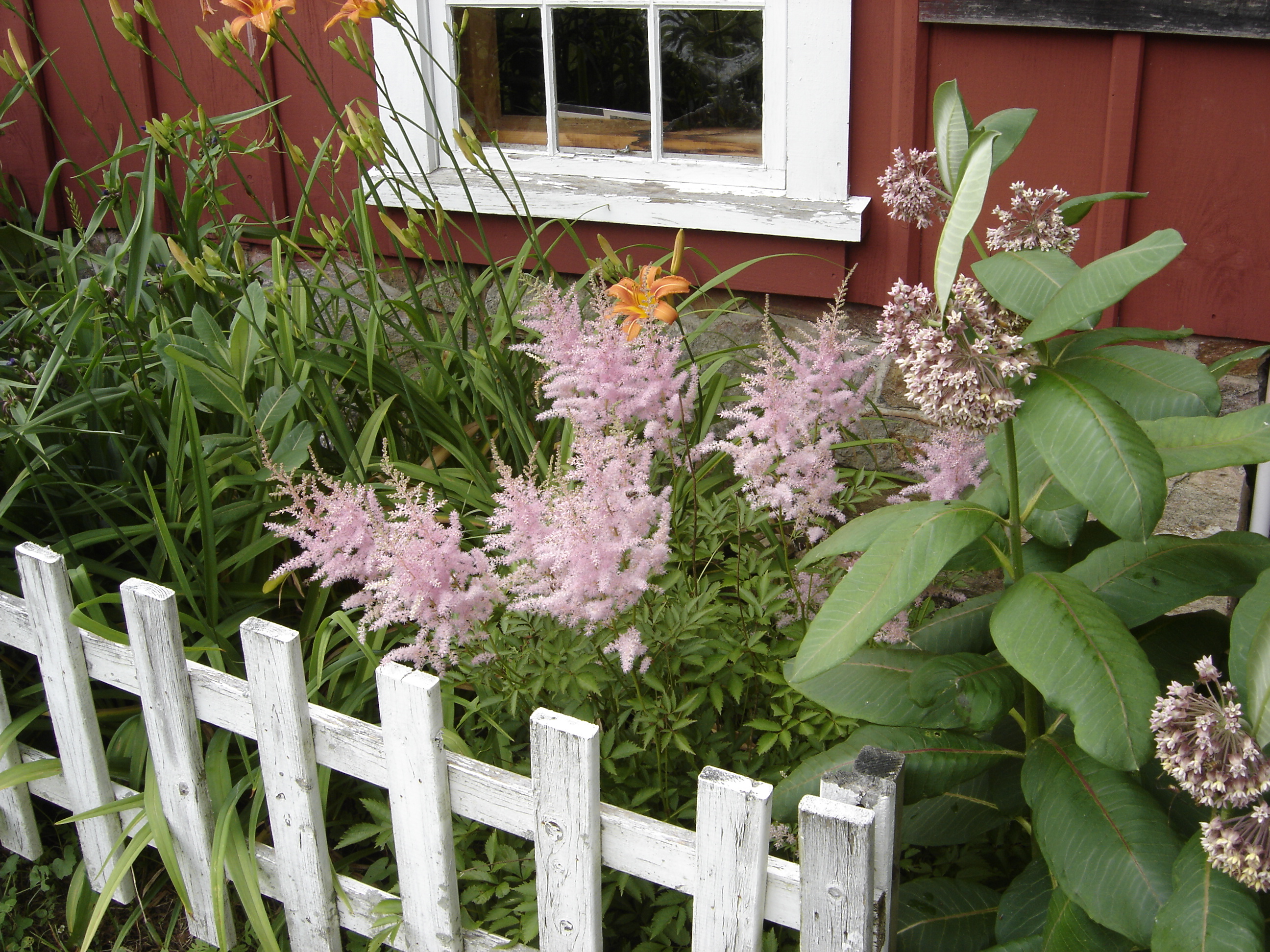 Garden Consultation A Simpler Place